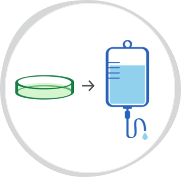 Illustration of petri dish and IV infusion bag depicting ex vivo gene therapy delivery