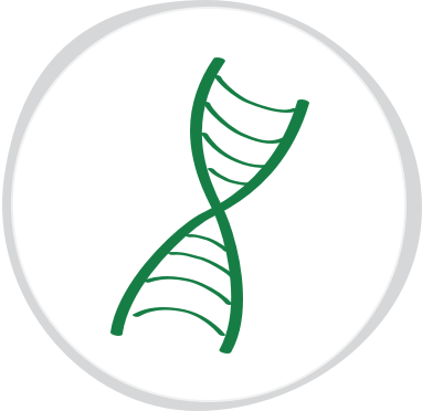 Single gene variant as a cause of genetic disease is depicted as a dot on a chromosome icon